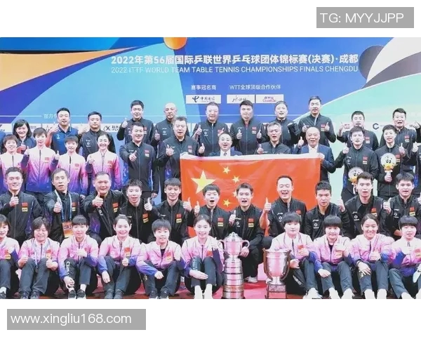 重庆乒乓球队在全国锦标赛中的团队协作表现与未来发展潜力分析